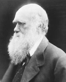 Charles Darwin. Courtesy of the Library of Congress.
