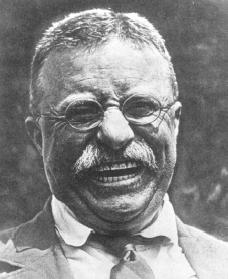 Theodore Roosevelt. Courtesy of the Library of Congress.